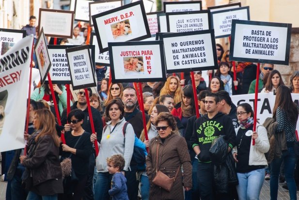 La comitiva de la manifestació amb pancartes reivindicatives_617x412