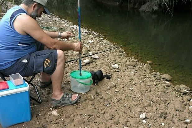 L'exemplar de visó americà al costat del pescador José Manuel Vegara_617x412