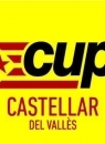 logocup