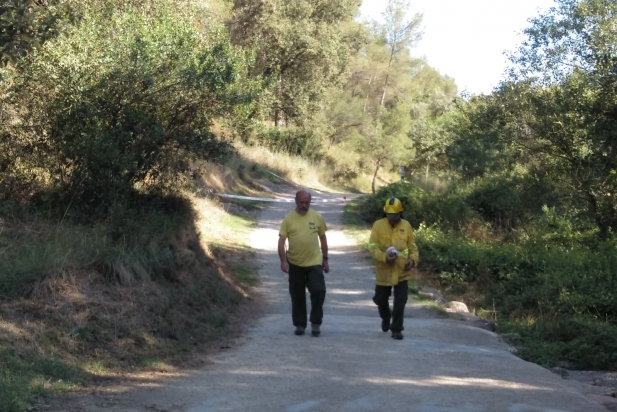 L'ADF va precintar la zona on es trobava el niu