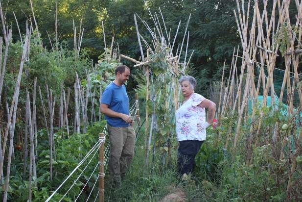 Els hortolans reorganitzen l'hort per preparar les verdures d'hivern. || C. DOMENE