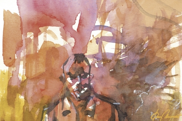 539  Aigua i pigment rgb_617x412