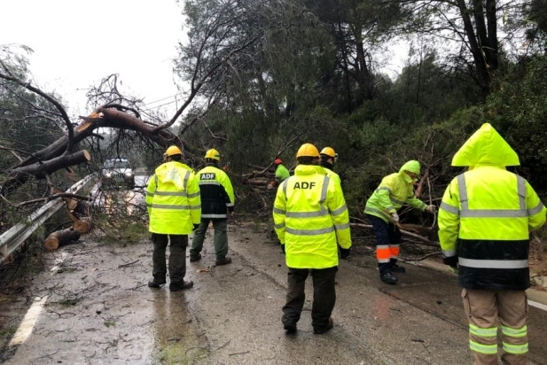 Retirada de l'arbre caigut a la carretera de Sant Feliu