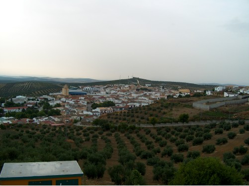 La Covid19 no esguerra la collita d'olivera de Lahiguera