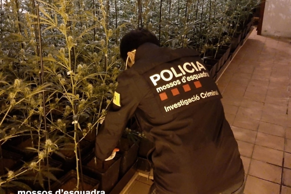 mossos _950x634