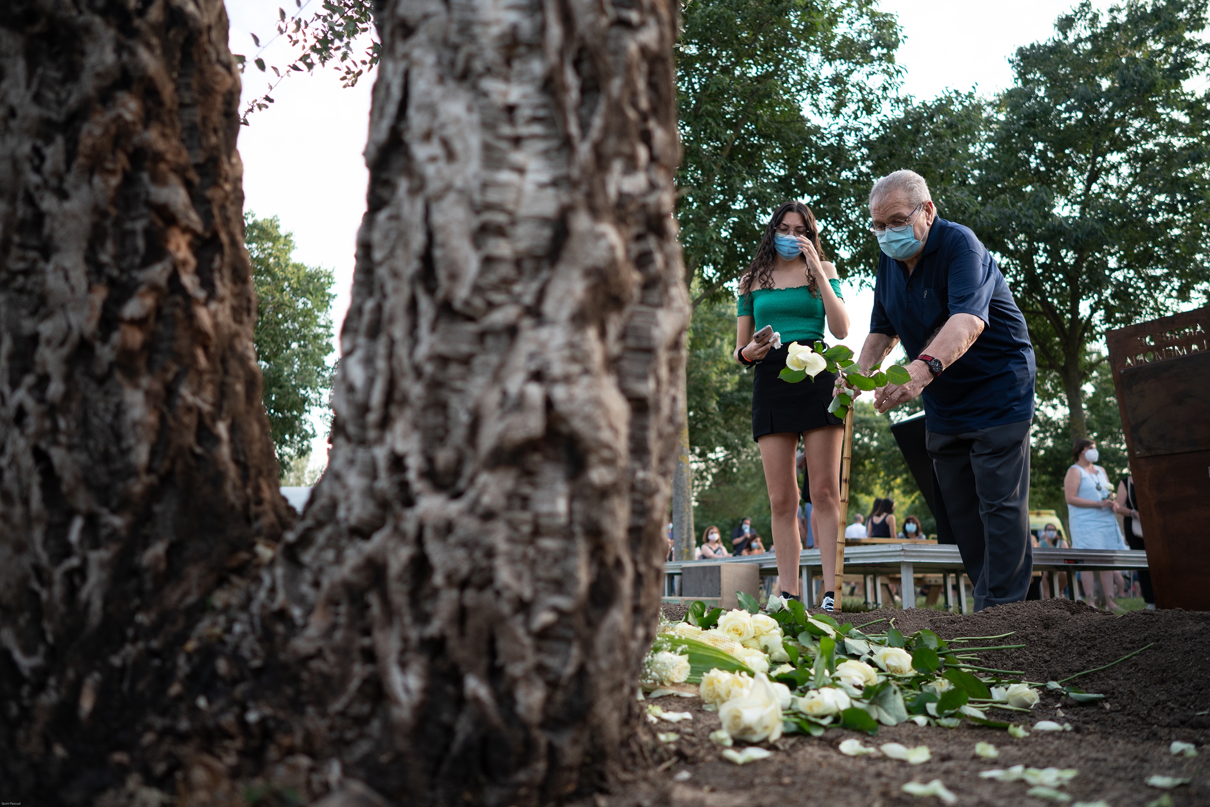 Les roses blanques han servit de símbol d'acomiadament davant de l'alzina batejada com Arbre de la Memòria || Q. Pascual