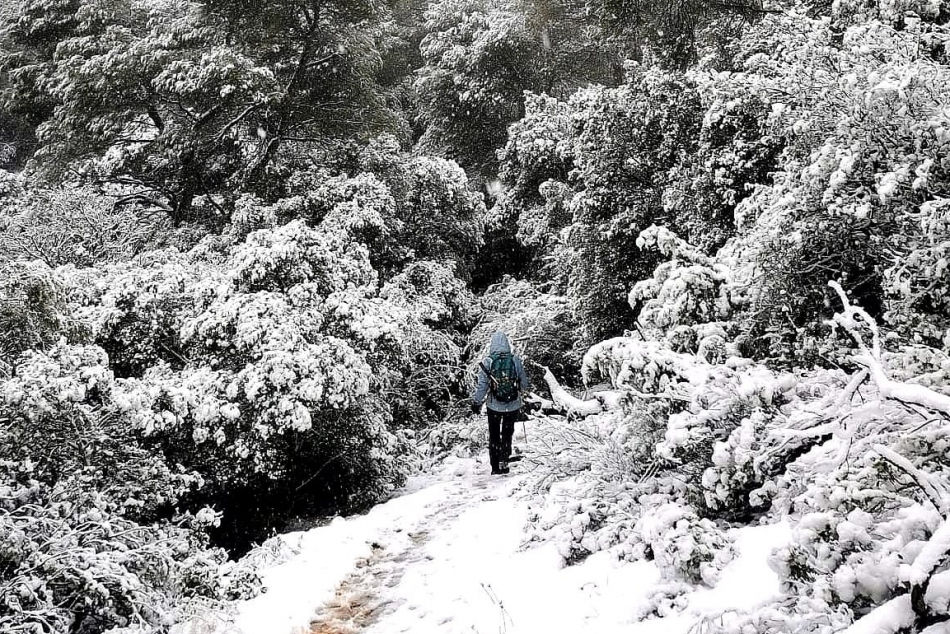 coll de Grua_950x634