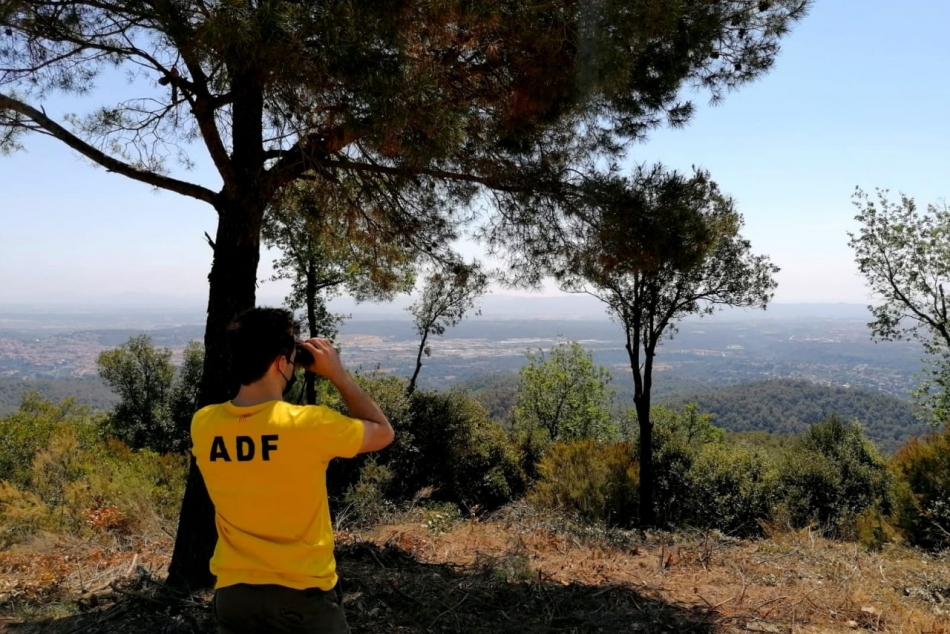 03  ADF_950x634