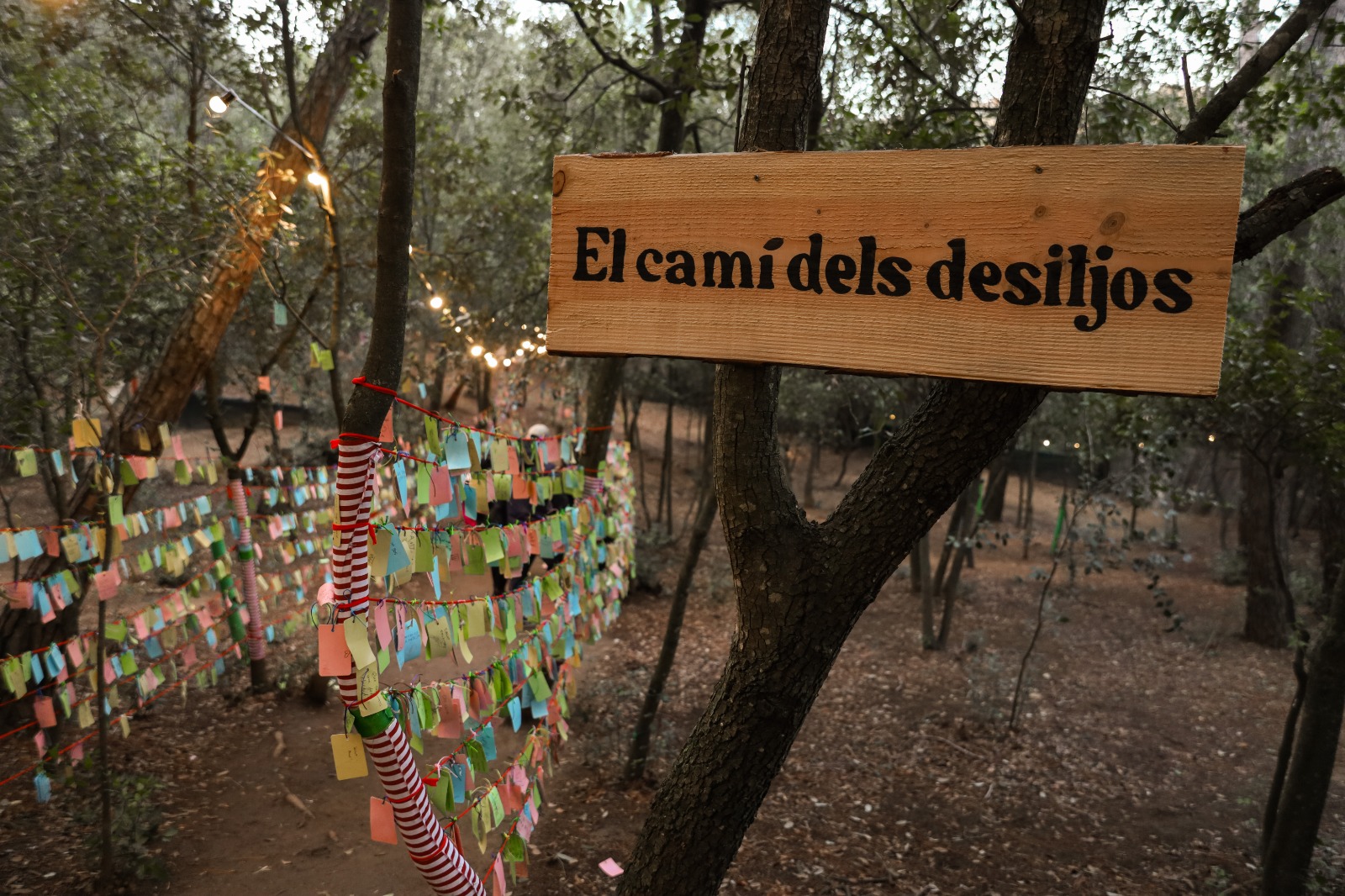 Desitjos al Bosc Màgic del Pare Noel de Can Juliana. || CEDIDA