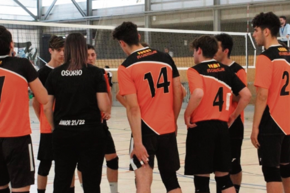 16   volei_950x634