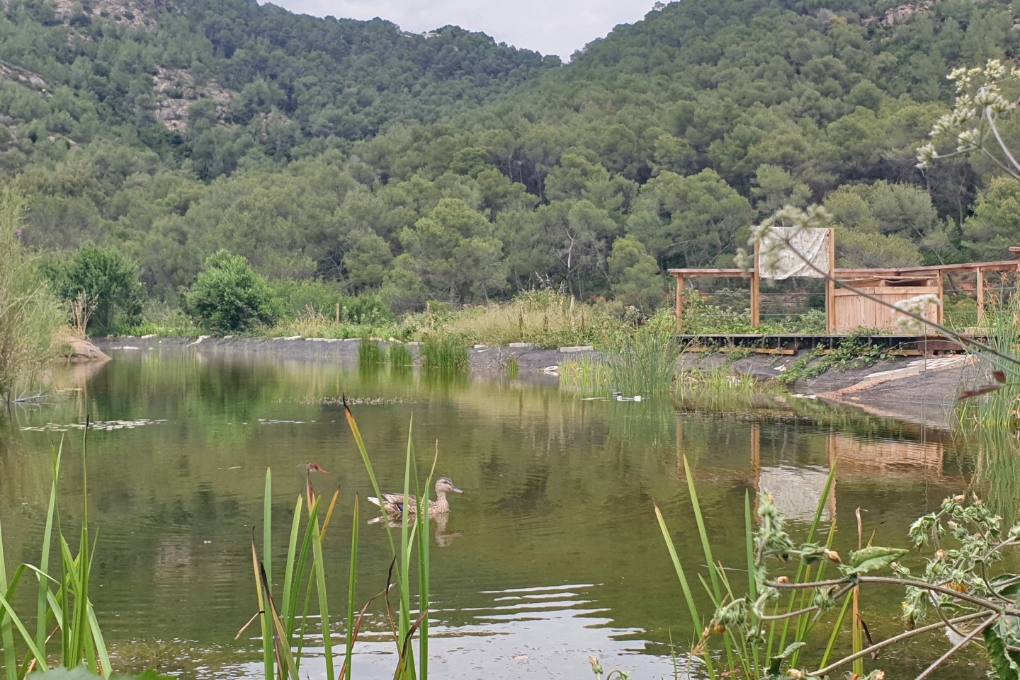 20230706 145138_1440x961 20230706 145138_1440x961