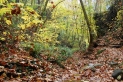 El Torrent de Colobrers en una imatge d'arxiu