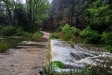 Aigua abundant al Ripoll després de les pluges d'aquest dilluns, 29 d'abril ||O. Moreno