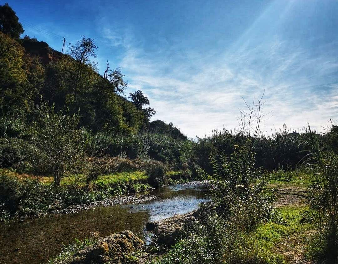 L'ACTUAL - Castellar del Vallès
