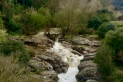 Imatge d'arxiu del riu Ripoll al seu pas pel pont de Turell, a Sant Feliu del Racó.|| O. MORENO