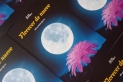 'Florecer de nuevo', el primer llibre de Mireia Rabat