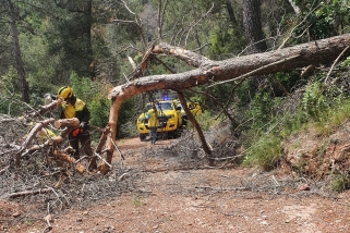 Tasques de retirada d’arbres caiguts durant aquest estiu dels ADF de Castellar. || ADF