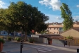 Aquest era l'aspecte de la plaça Calissó amb els arbres balancejats pel vent