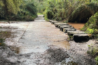 El riu Ripoll al seu pas per Can Barba en una imatge d'aquest migdia després de la pluja || AJ. Castellar