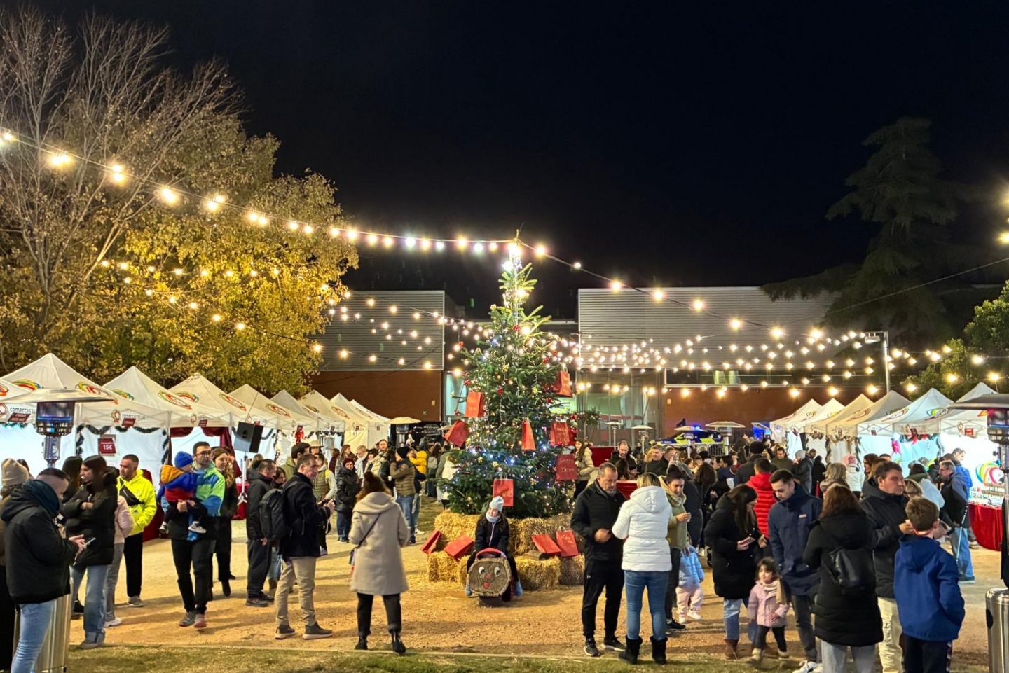 WhatsApp Image 2025 12 05 at 21.10.53_1440x961