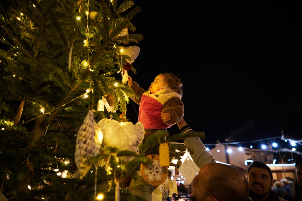 L'arbre dels desitjos. || Q. P.
