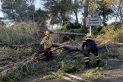 Tasques de retirada d'un arbre caigut a la Carretera B-124