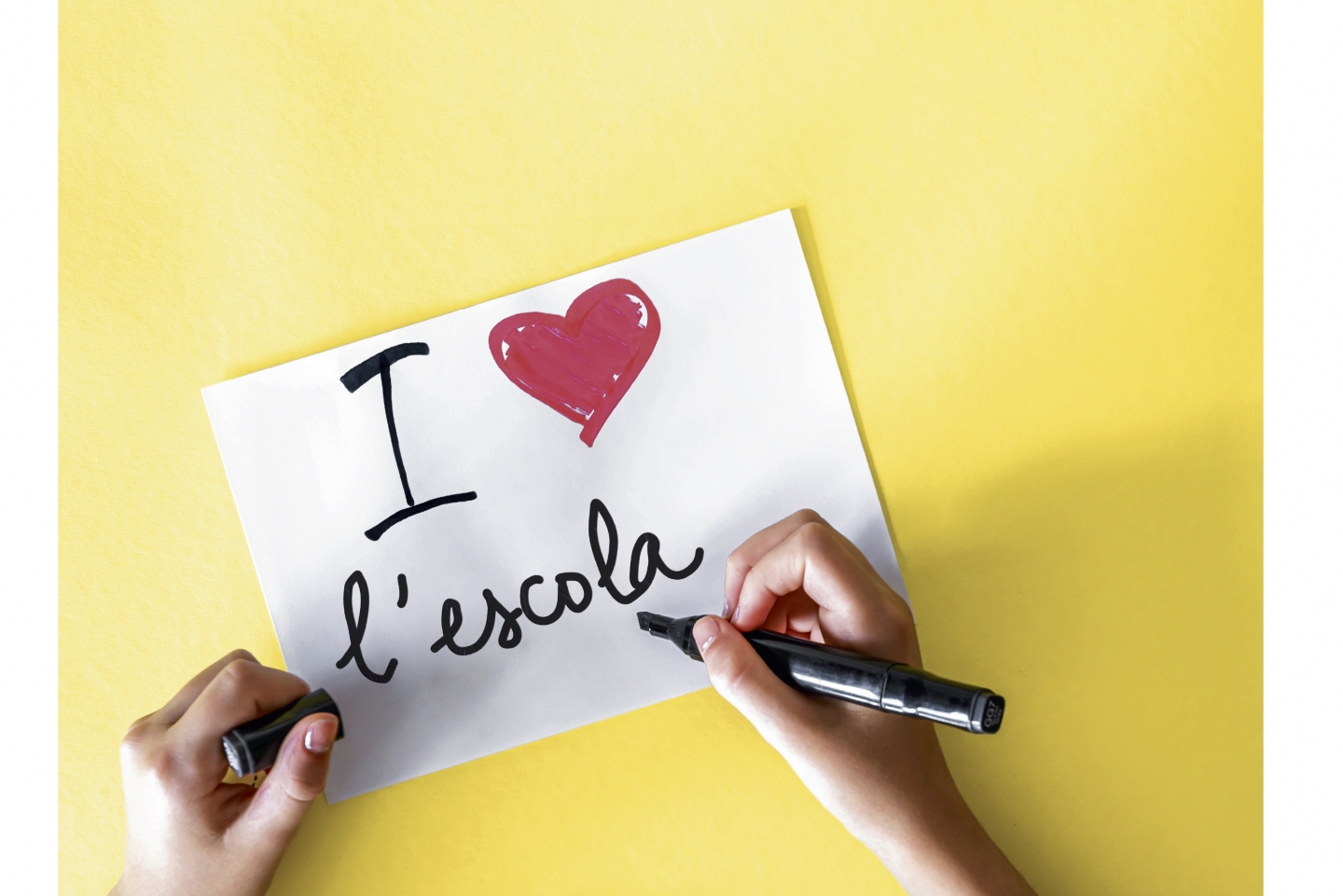 ig escoles Actual 831_1440x961