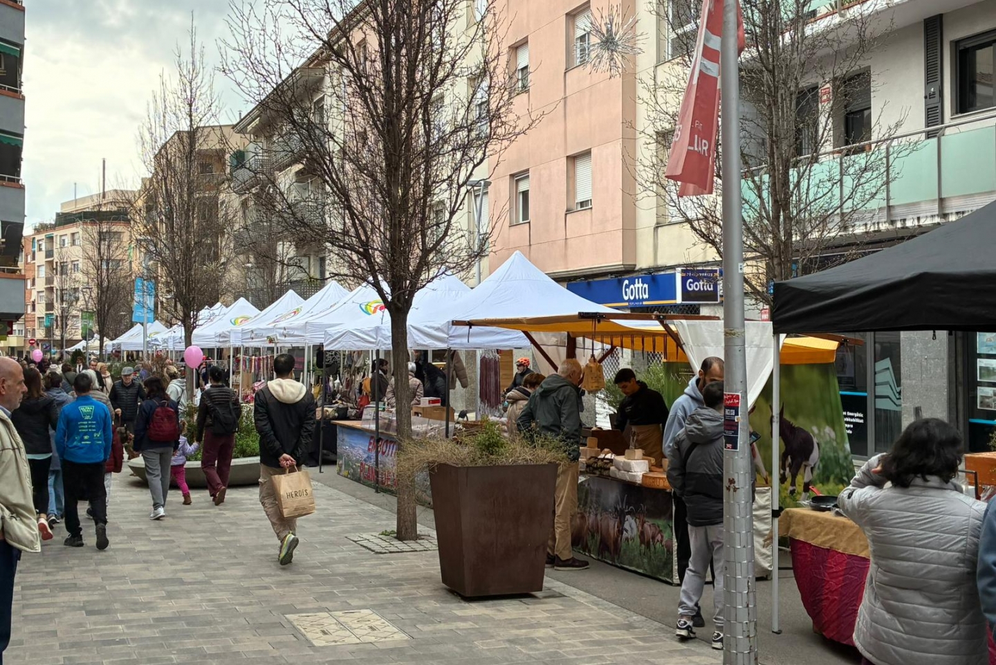 WhatsApp Image 2026 03 01 at 18.23.05_1440x961