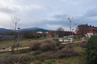 L’actuació s’ha fet al triangle verd situat entre el carrer de Josep Vicenç Foix, la ronda de Ponent i el carrer de Can Carner