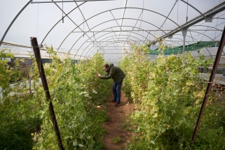 Imatge de la Fria de Plantes del 2025 que organitza l'institut Les Garberes ||Q. Pascual