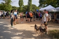 Participants a la 1a Marxa solidària a favor dels animals abans de la sortida al Parc de Colobrers