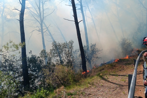 Bombers treballant en l'extinció del foc que s'ha produït a prop del Turell