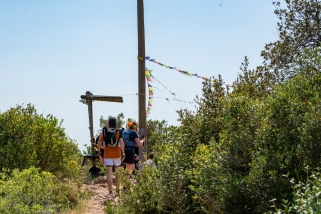 Diversos participants encetant els últims metres del Pic del Vent.