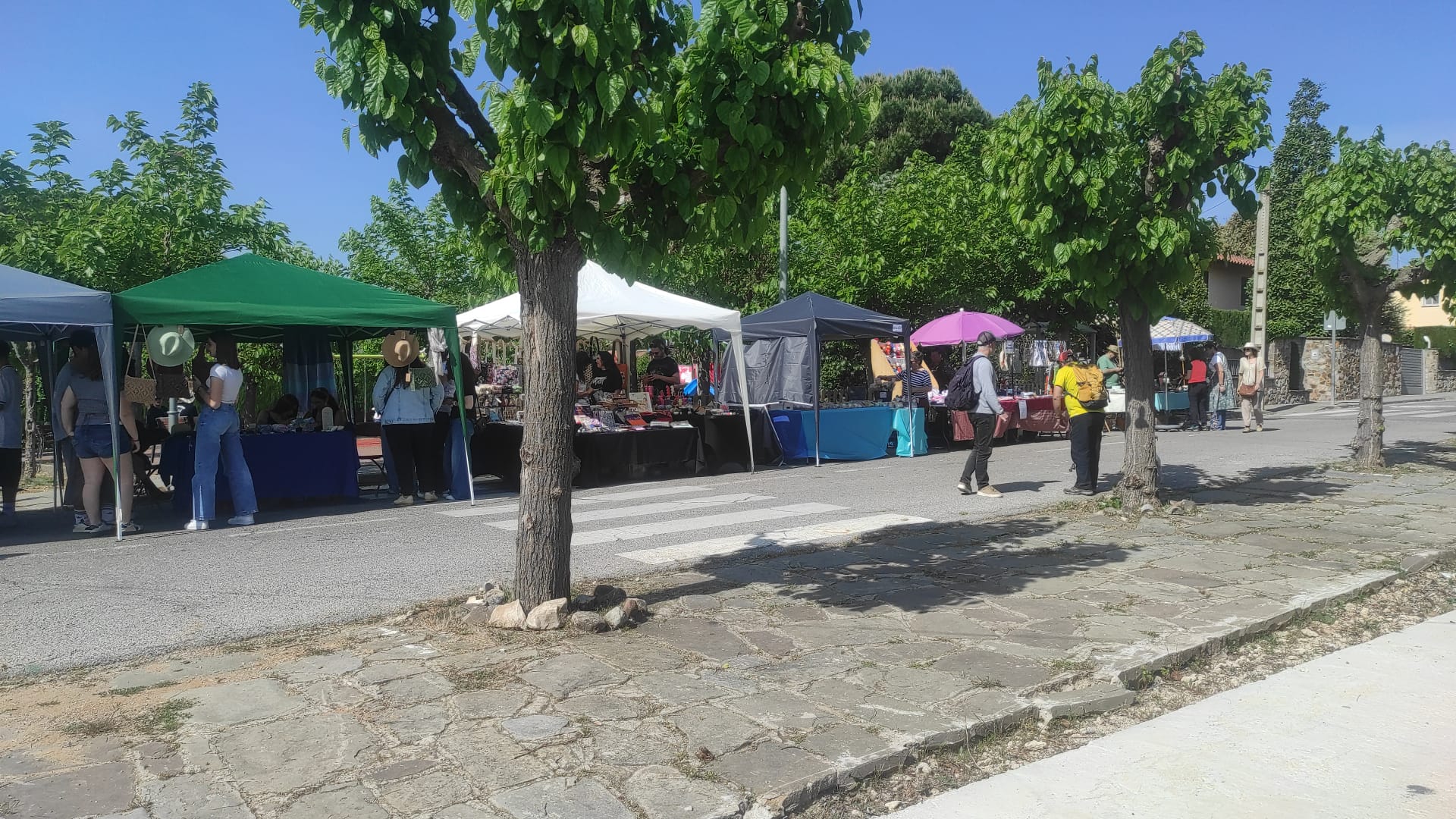 Mercat de productes artesanals a les Jornades de Primavera. || CEDIDA