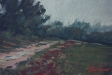 Pluja forta