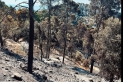 Zona afectada de l'incendi forestal de Sentmenat || Bombers de Castellar