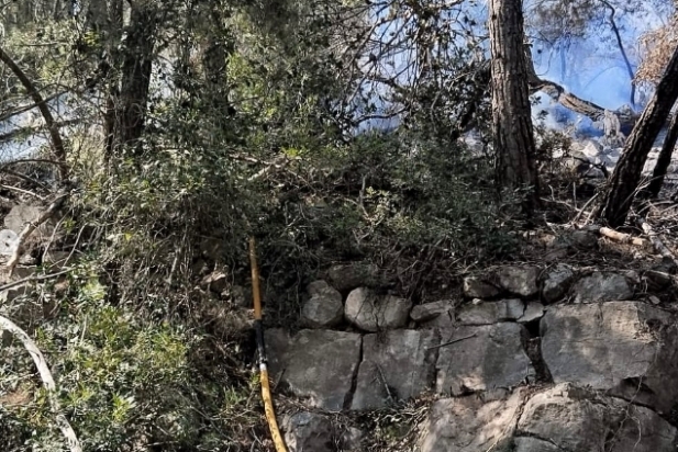 Una imatge de l'àrea cremada de l'incendi de Sentmenat