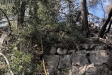 Una imatge de l'àrea cremada de l'incendi de Sentmenat