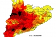 Imatge del mapa del Pla Alfa d'aquest dijous 16 de juliol de 2026