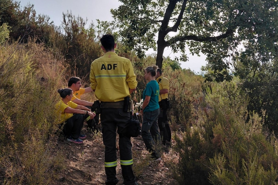 hoemantge adf tallada_950x634