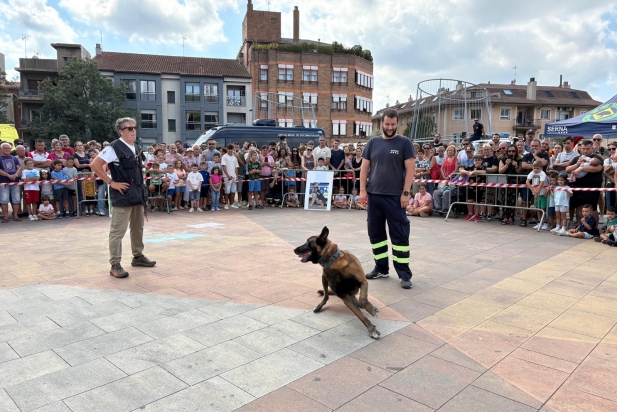 Exhibició de gossos policia durant la jornada