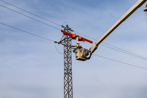 Moment d'inici del intercanvi de peces per a evitar electrocucions i xocs al costat de Sant Pere d'Ullastre.